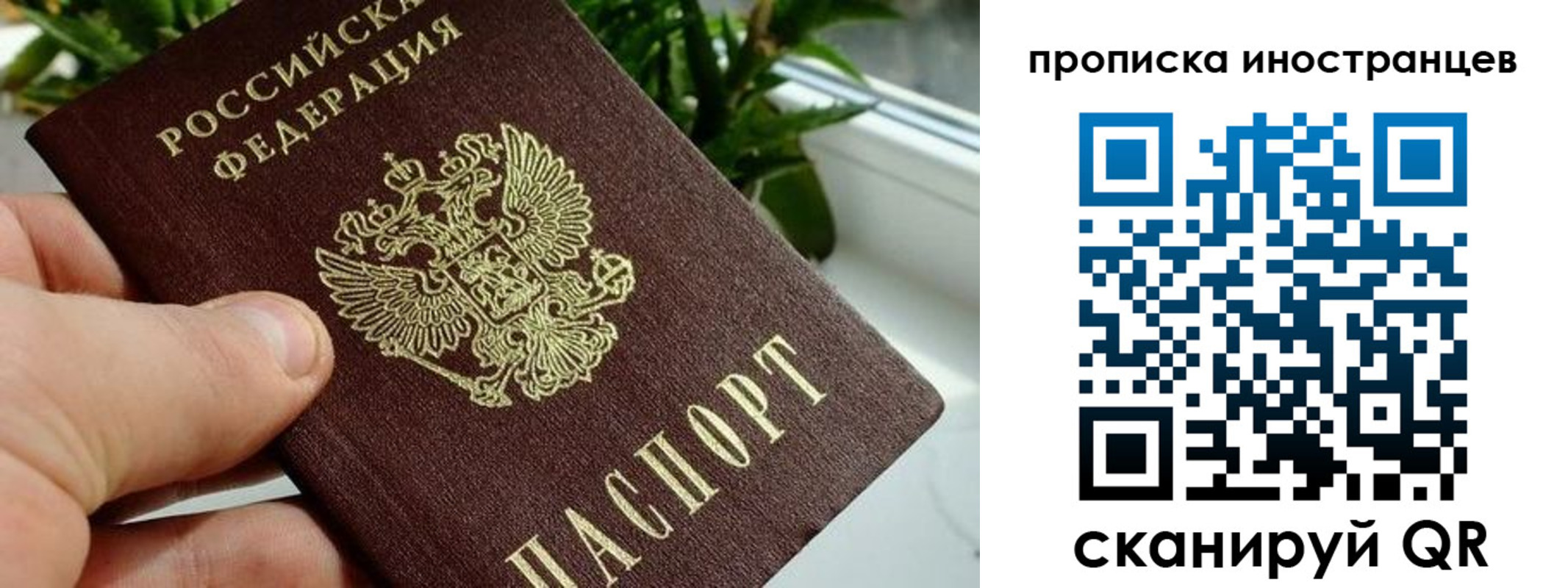 временная регистрация в Бакале